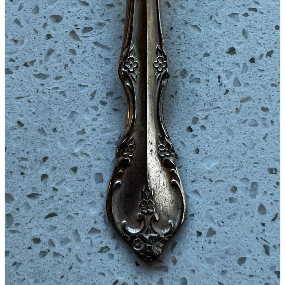 Vintage Rogers & Bro Southern Splendor Iced Tea Spoon Reinforced Plate